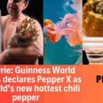 Pepper X: World's Hottest Chili Pepper Sets Spiciness Records